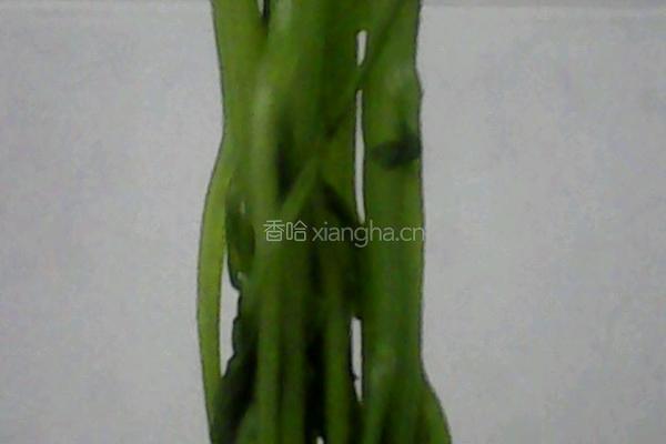 菠菜男孩的做法图解7