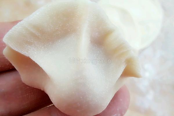 胡萝卜香菇水饺的做法图解14