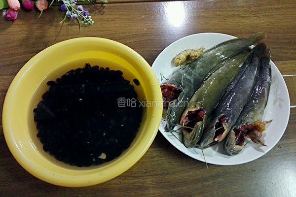 黑豆煲塘虱鱼汤的做法图解1