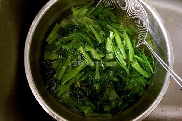 椒油菠菜拌粉丝的做法图解1
