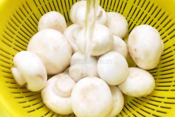 双孢菇奶油浓汤的做法图解1
