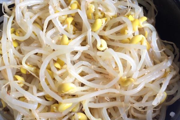 辣白菜豆芽拌饭的做法图解13