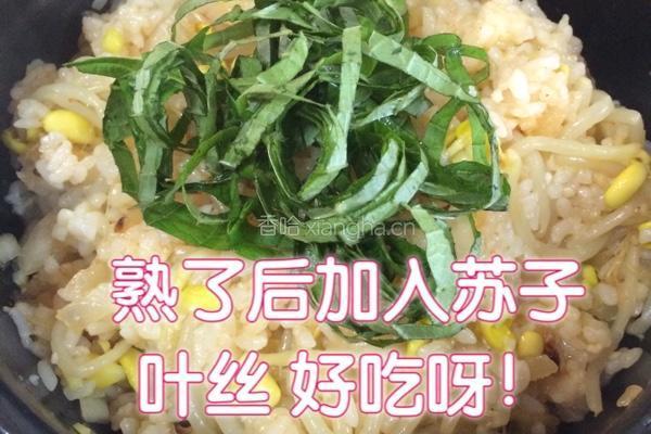 辣白菜豆芽拌饭的做法图解15