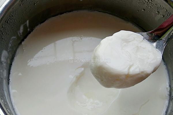 自制黄桃酸奶的做法图解3