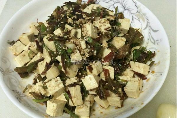 香椿豆腐的做法图解4