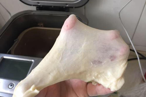 面包的诱惑的做法图解4
