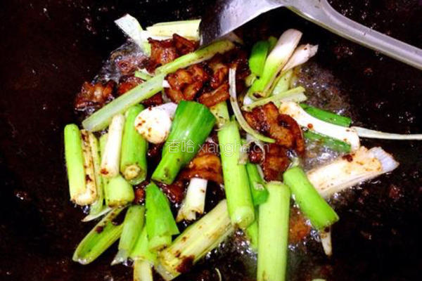京口回锅肉的做法图解6