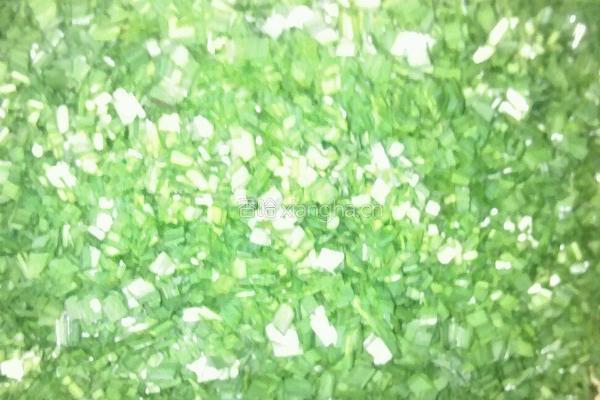 韭菜猪馅大包肉的做法图解2