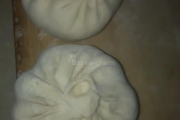 韭菜猪馅大包肉的做法图解6
