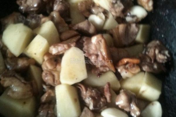 土豆焖鸡的做法图解4