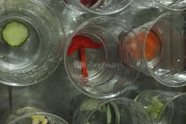 冰纷果蔬的做法图解5