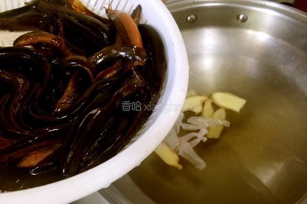 白灼泥鳅的做法图解4