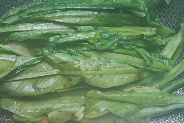 油麦菜扒香菇的做法图解3