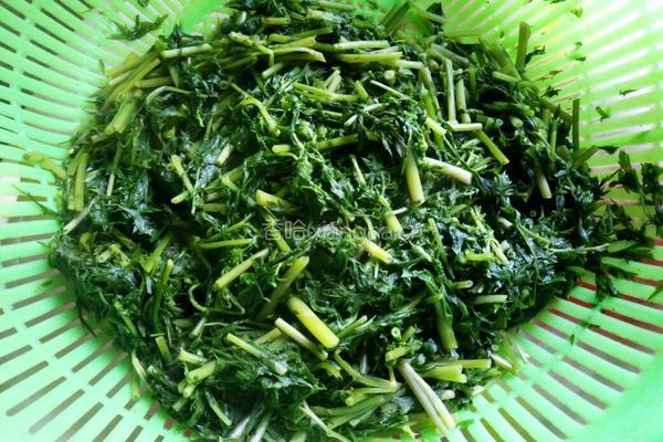 凉拌川芎叶的做法图解3