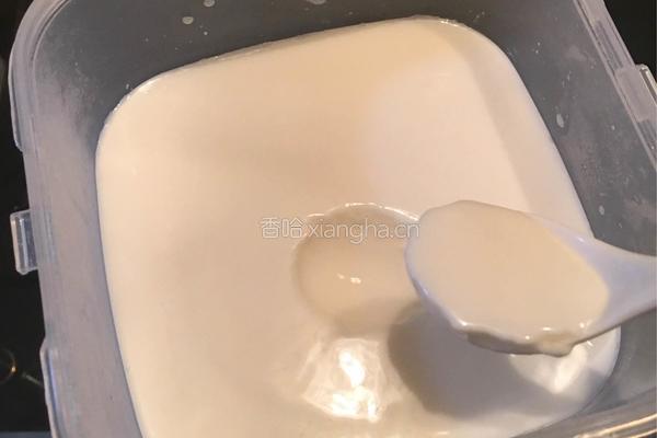 自制酸奶的做法图解8