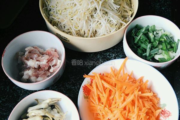 豆芽春卷的做法图解1