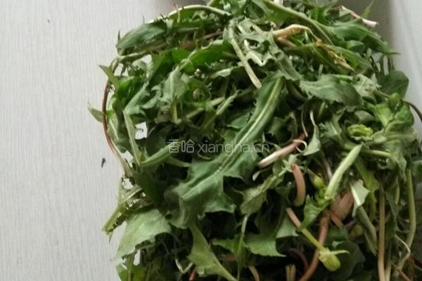 蒲公英蘸酱的做法图解1