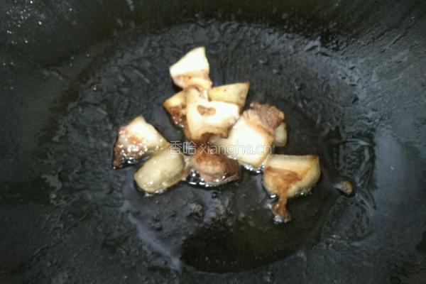 胡萝卜包菜炒肉的做法图解5