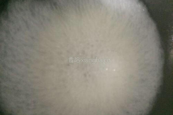 沙琪玛的做法图解7