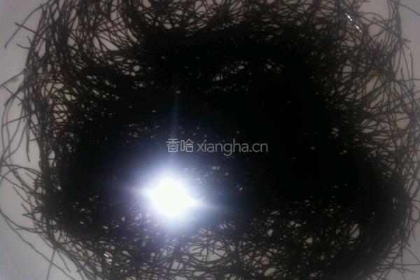 木瓜银耳莲子羹的做法图解6