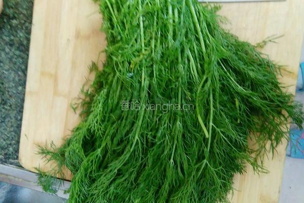 茴香饺子的做法图解1
