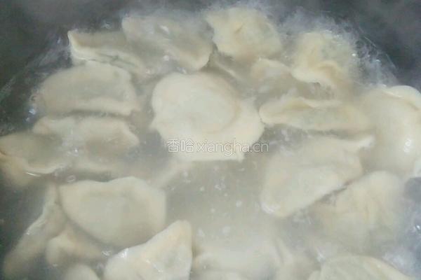 茴香饺子的做法图解8