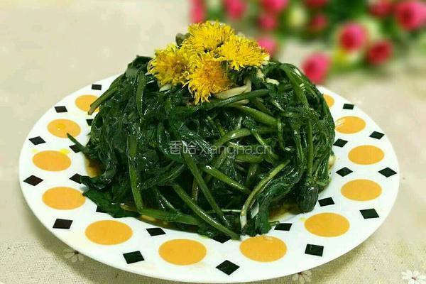 蒜茸拌蒲公英的做法图解9