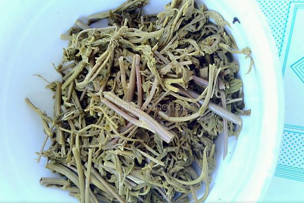 凉拌木兰芽的做法图解1