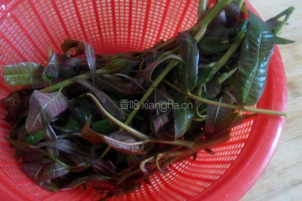 香椿拌豆腐的做法图解3