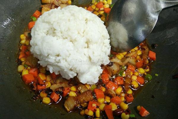 干妈回锅肉炒饭的做法图解4