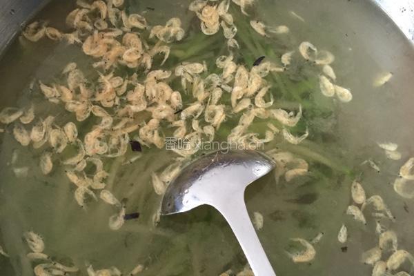 美味虾皮萝卜丝粥的做法图解7