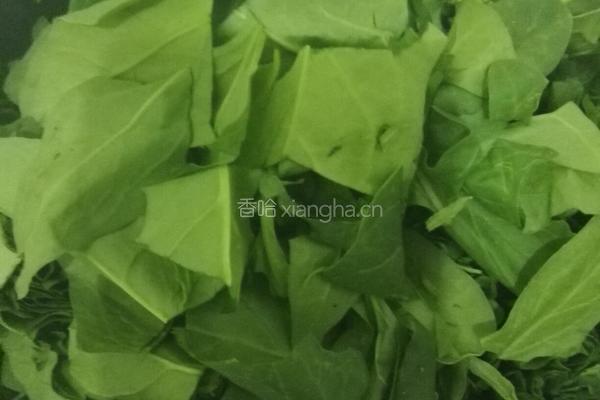菠菜鸡蛋的做法图解2