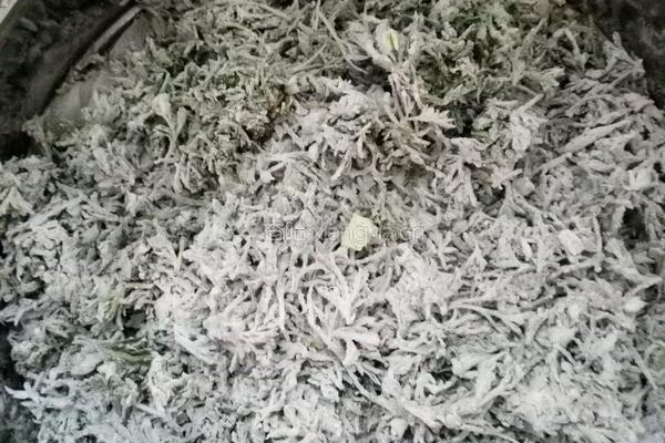 白蒿咕哩的做法图解2