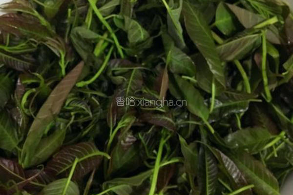 香椿芽鸡蛋饼的做法图解1
