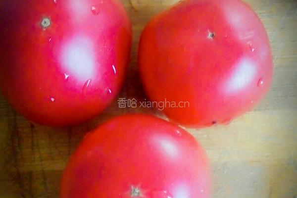 凉拌西红柿的做法图解2