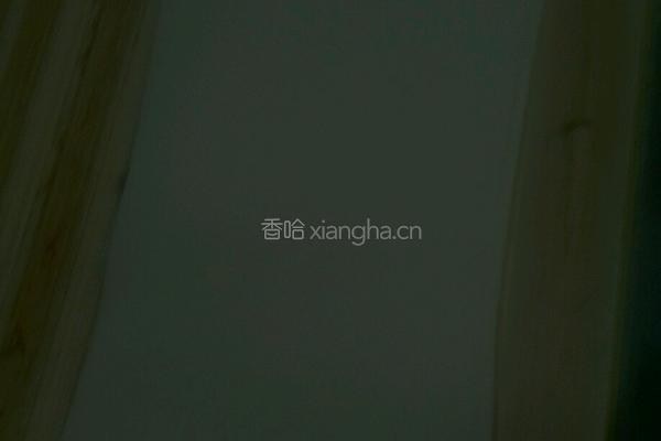 陕西肉夹馍的做法图解2