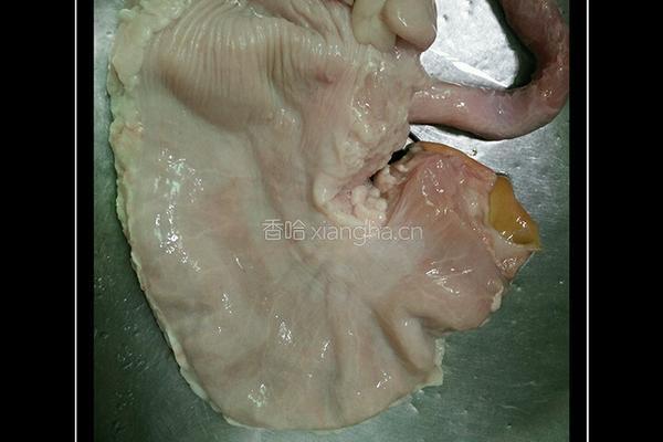 胡椒煲猪肚的做法图解1