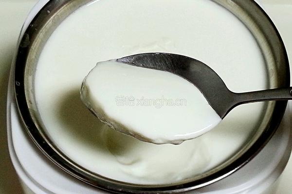 自制水果酸奶的做法图解9