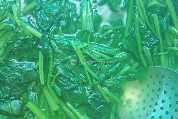 炝拌菠菜的做法图解2