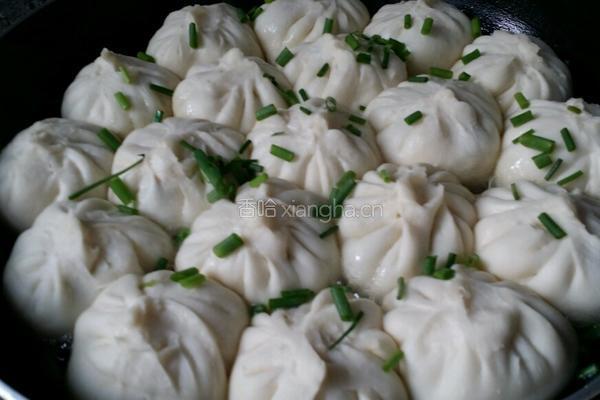 生煎肉包的做法图解6