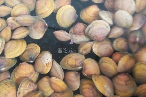 蚬子汤的做法图解2