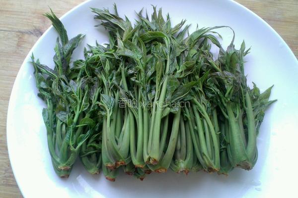 炸香椿鱼儿的做法图解2