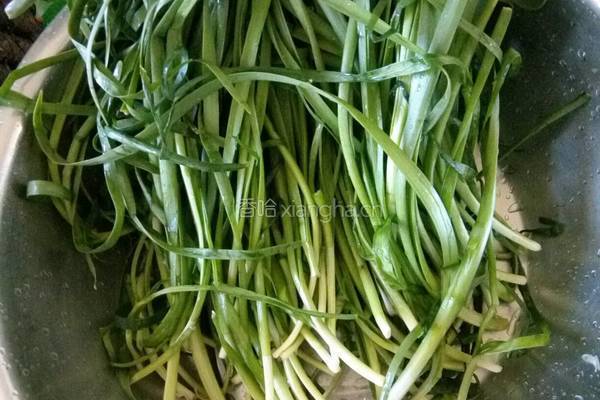 韭菜馅饺子的做法图解1