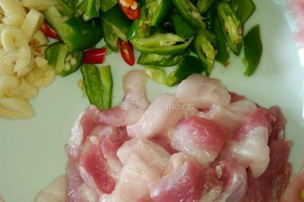 小笋炒肉的做法图解2