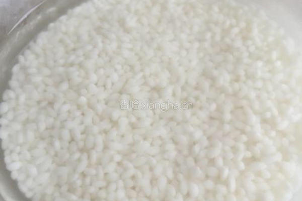 鲜笋香菇糯米烧卖的做法图解1