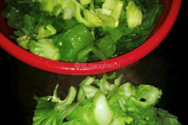 蚝油汁淋芥菜的做法图解2