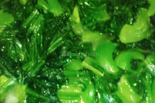 蚝油汁淋芥菜的做法图解4
