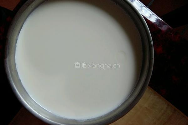自制酸奶的做法图解12