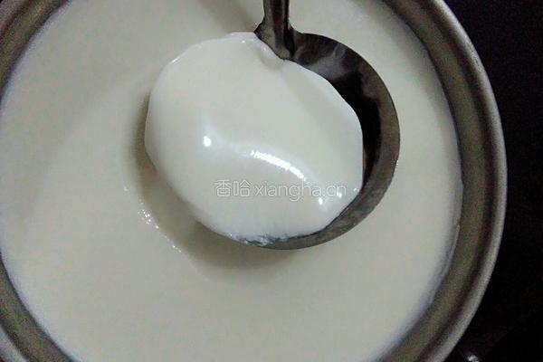 自制酸奶的做法图解13