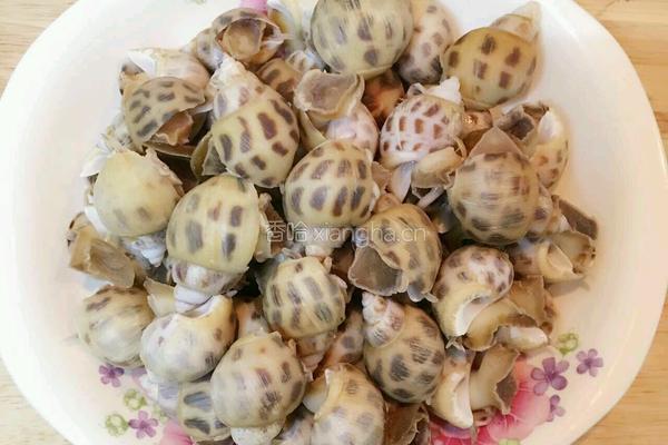 白灼花螺
